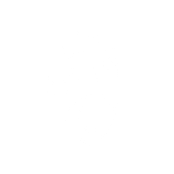Inicio